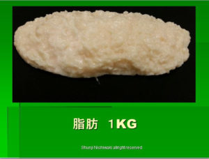 脂肪１kg